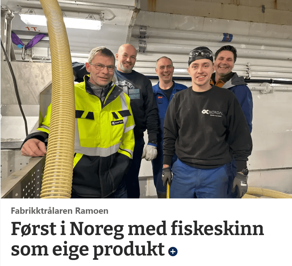 Fiskeskinn som eige produkt