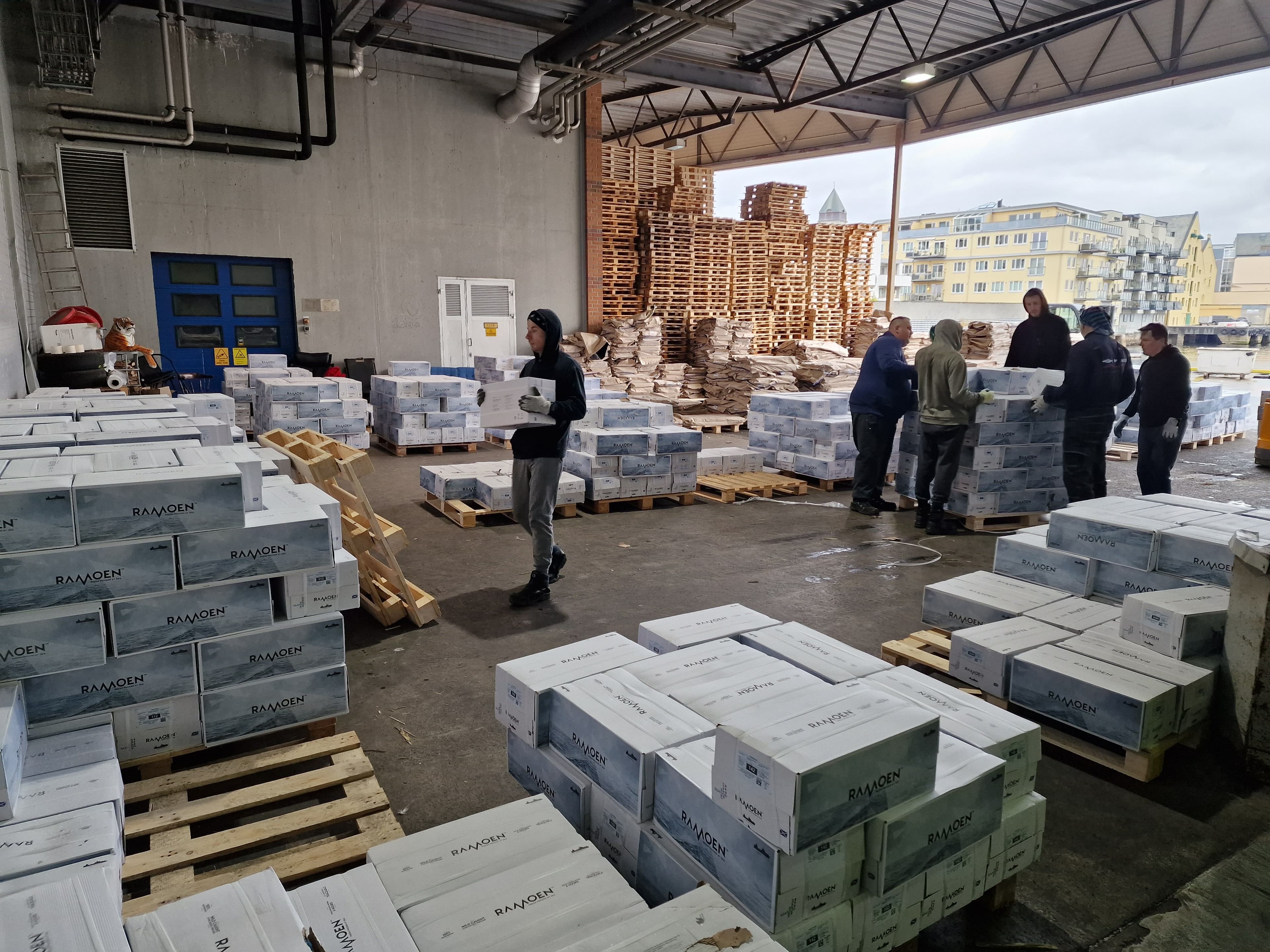 Sorted and checked at T&F cold store